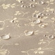 preview thumbnail 5 of 5, Sealy Posturepedic Crown Jewel Luxury Firm 220-Coil Crib Mattress - Gold