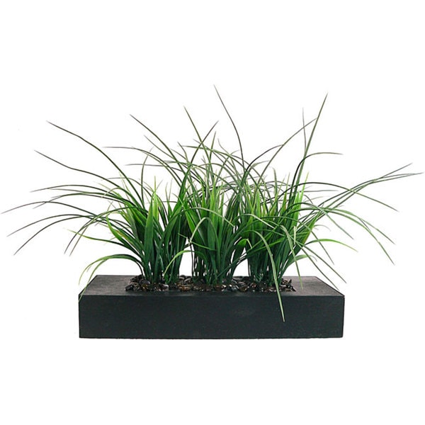 Laura Ashley Green Grass in Contemporary Wood Planter   13712159