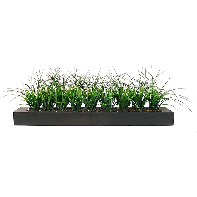 Laura Ashley Green Grass In Contemporary Wood Planter