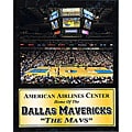 Dallas Mavericks Arena Stats Plaque