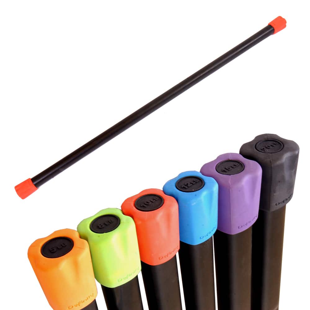 Definity 10-lb Workout Bar