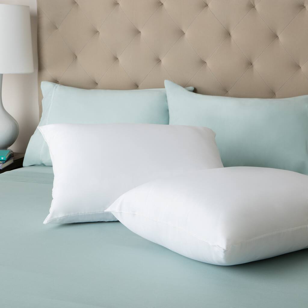 Back-to-School White Cotton Bed Pillows (Set of 2)