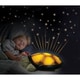 cloud b twilight turtle night light