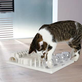 buy cat toys online