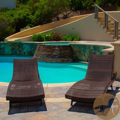 Christopher Knight Home Outdoor Brown Wicker Adjustable Chaise Lounge Chair (Set of 2)