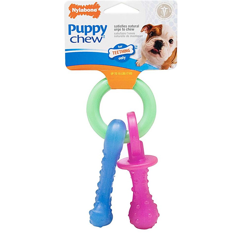 nylabone puppy teething pacifier