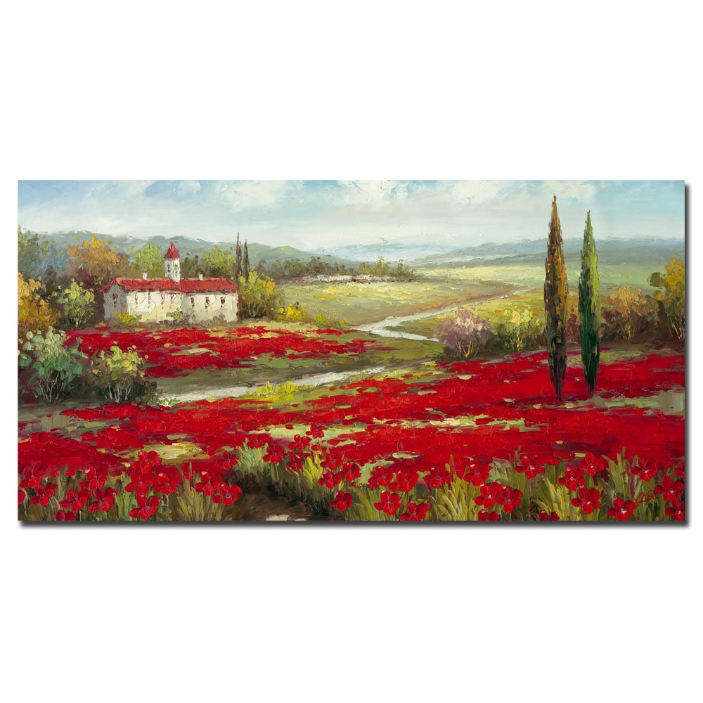 Rio 'Field of Poppies' Canvas Art