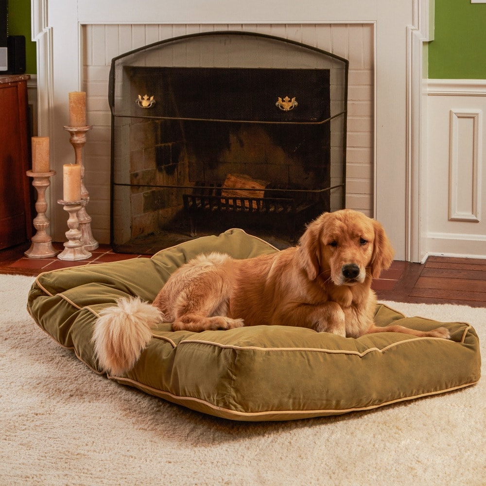 Naturepedic store dog bed