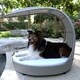 The Refined Canine Outdoor Dog Chaise Lounger - Thumbnail 1