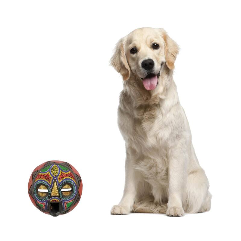 Handmade My Beautiful Woman Carved Mask (Ghana)