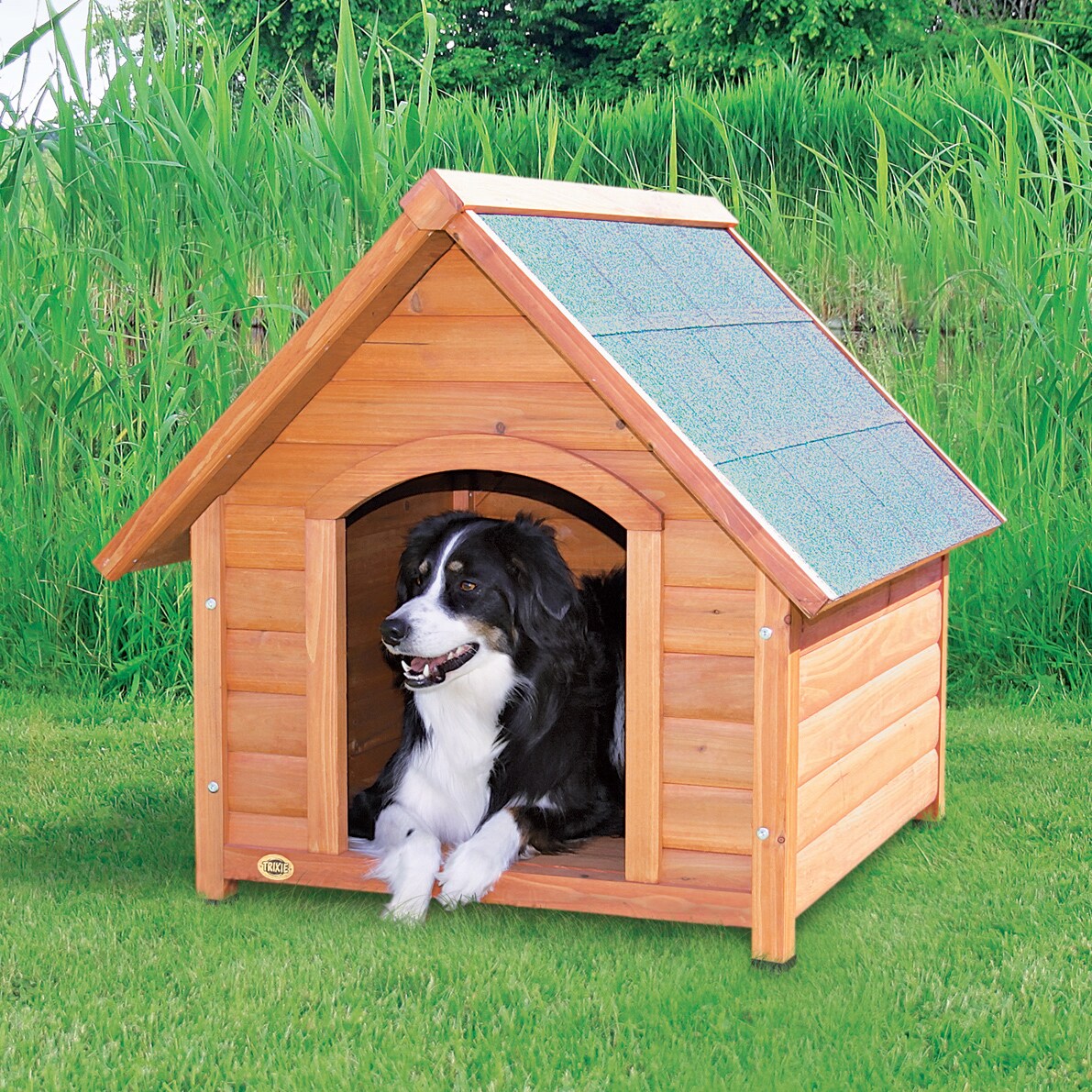 Harvest clearance house kennels