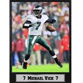 Philadelphia Eagles Commemorative Michael Vick Stat Photo Plaque