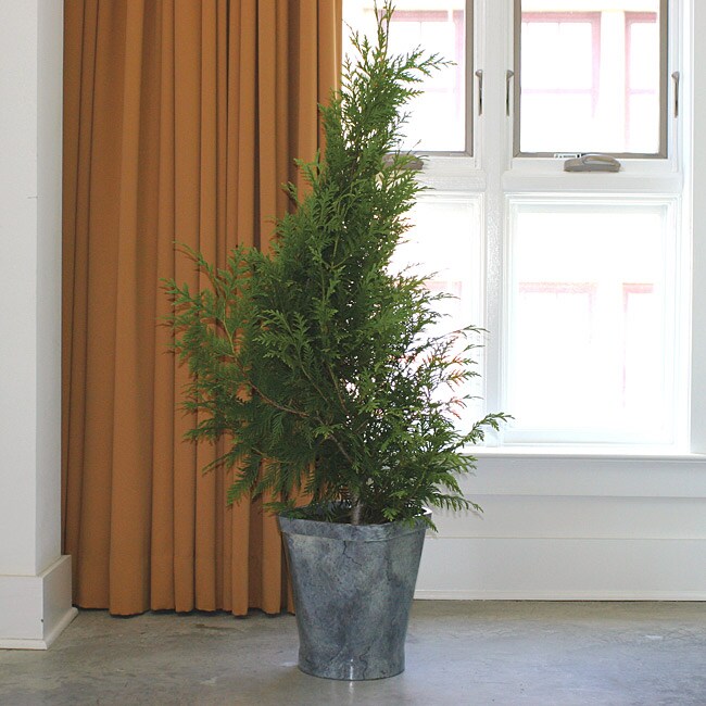 PoliVaz Slate Medium Planter, Handmade in Indonesia