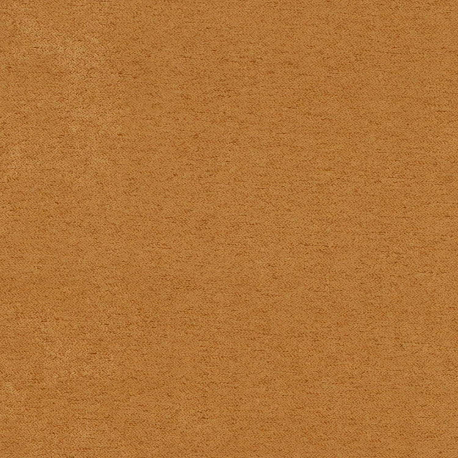 Option Camel