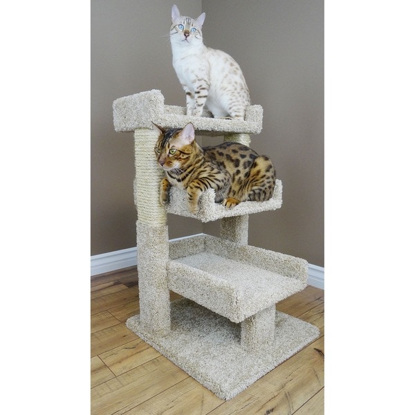 Triple 2025 cat perch