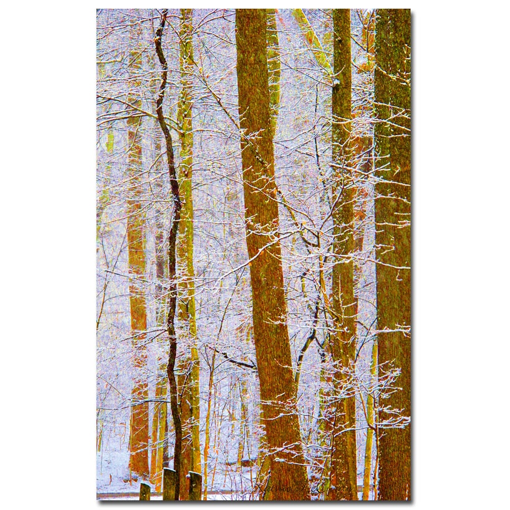 Kathie McCurdy 'Rainbow Woods' Canvas Art