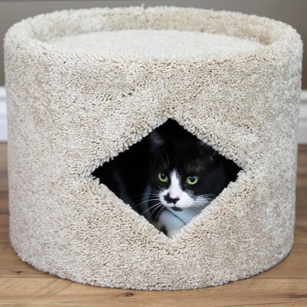New Cat Condos Cat House