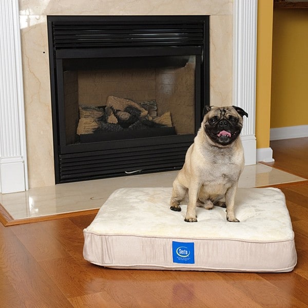 Serta True Response Small Memory Foam Pet Bed - Free Shipping Today ...