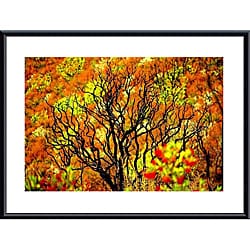 John K. Nakata 'Charred Tree' Metal Framed Art Print Prints