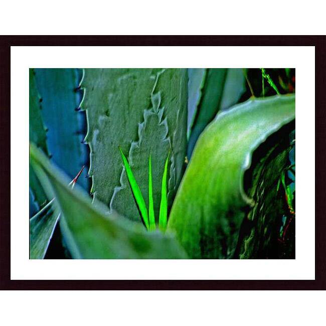 John K. Nakata 'Grass & Cactus' Wood Framed Art Print