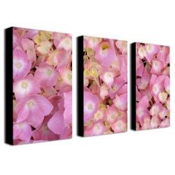 Kathier McCurdy 'Pink Hydrangea' Canvas Art Set - Overstock - 6208847