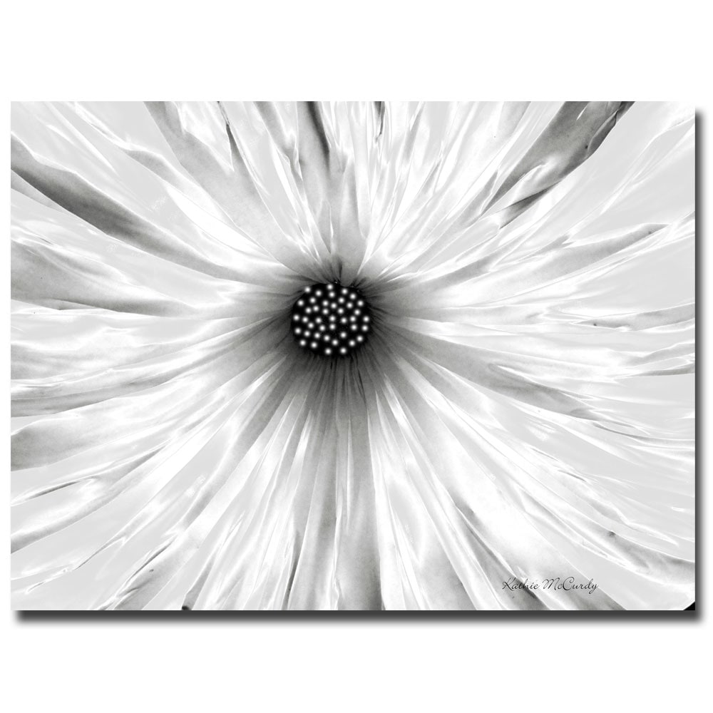 Shop Kathie McCurdy 'White Garden' Floral Canvas Art ...