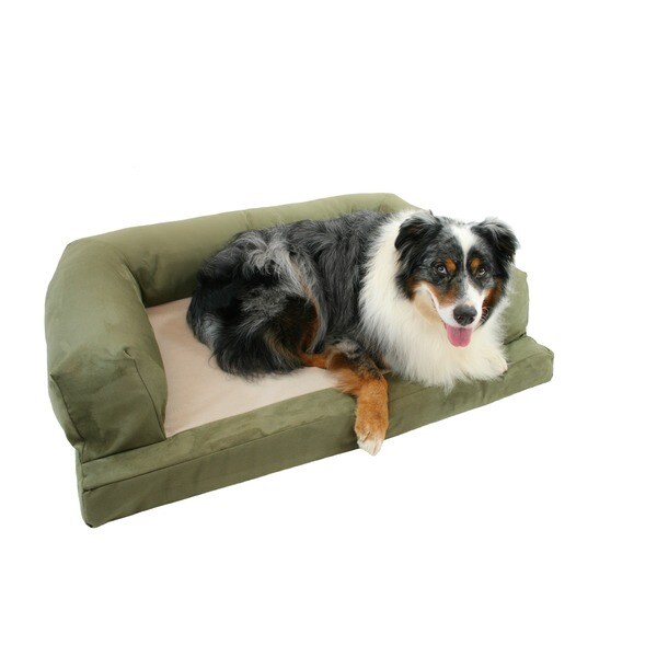 Hidden on sale dog bed