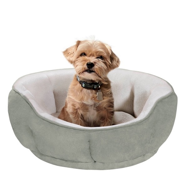 Bed bath and store beyond dog beds