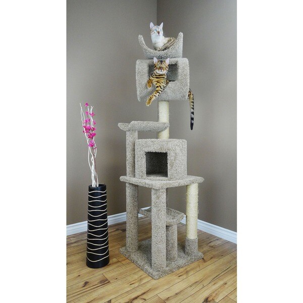 New Cat Condos 72