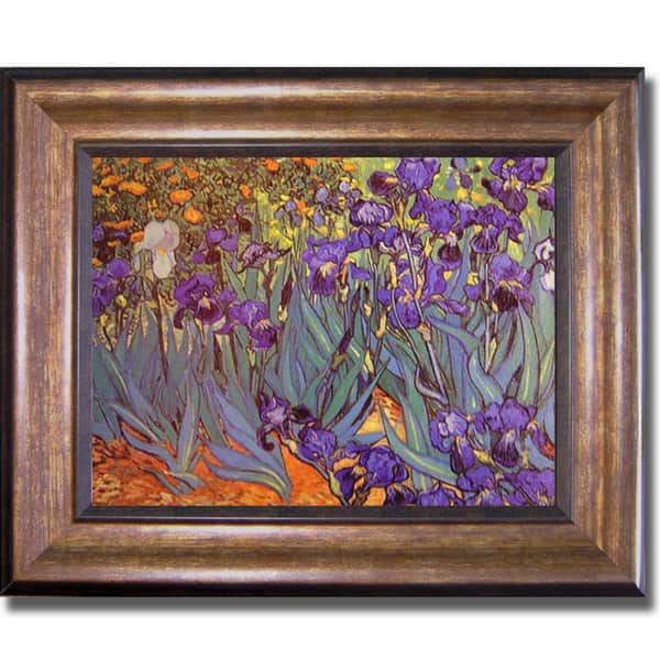 Vincent Van Gogh 'Iris Garden' Framed Canvas - Bed Bath & Beyond - 6236889