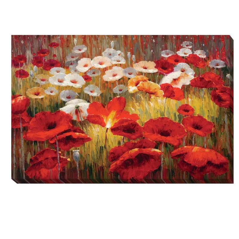 Lucas Santini 'Meadow Poppies II' Canvas Art - 24 x 36 - Red Wrapped