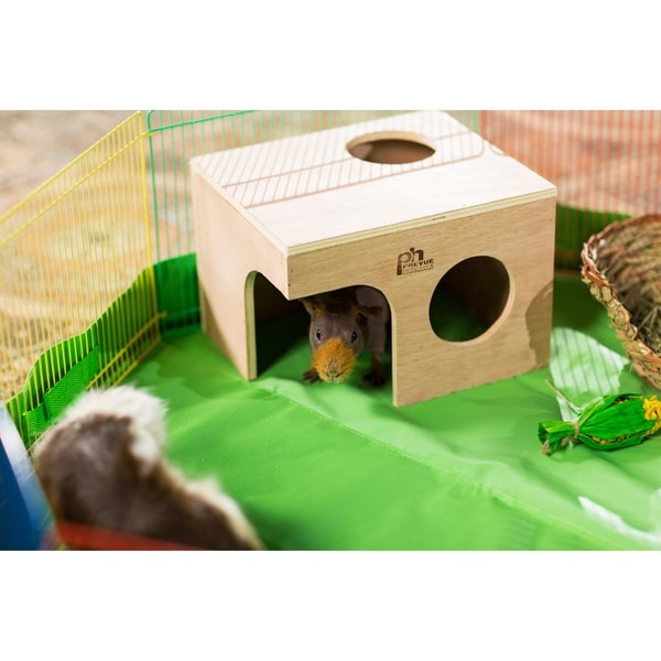 prevue guinea pig cage