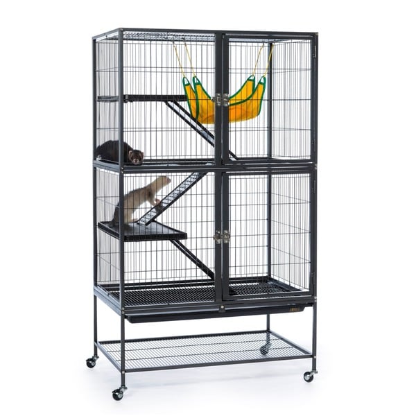 Prevue Pet Products 485 Feisty Ferret Black Hammertone Home