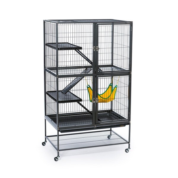 feisty ferret cage for rats