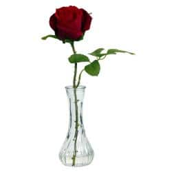 Shop Rose Bud Vase Set Of 3 Red Green Clear Free Shipping