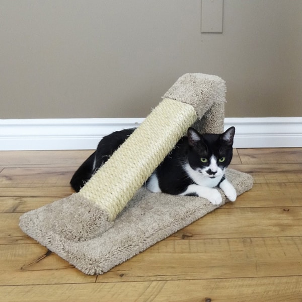 download the new version Cat Condo