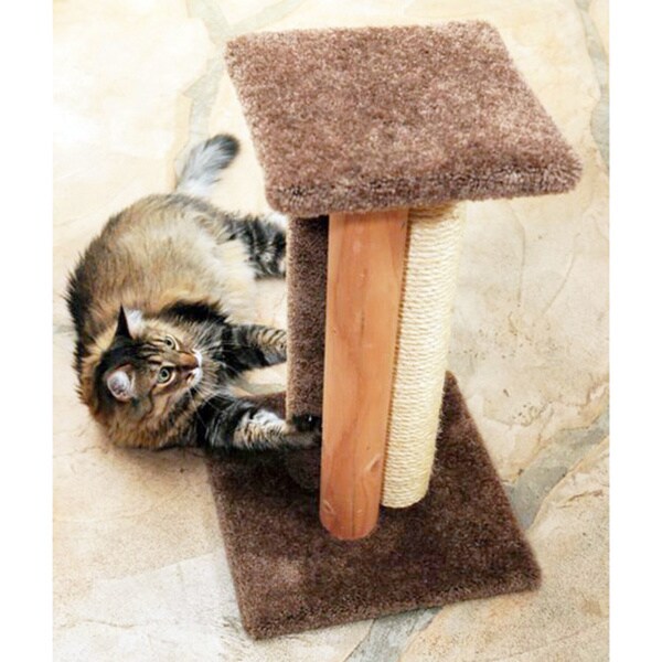 petpals fawn level 5 scratcher