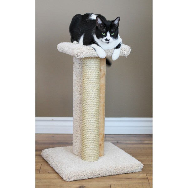 colonel cat scratching post