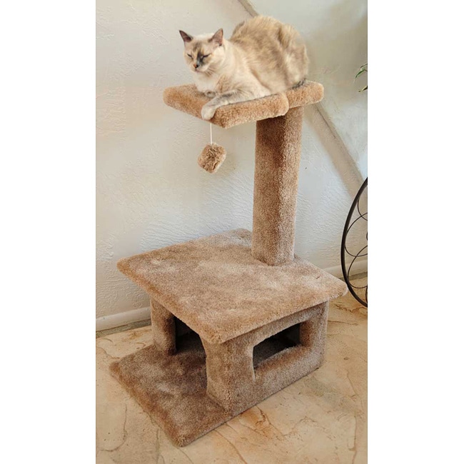 3 foot shop cat tree