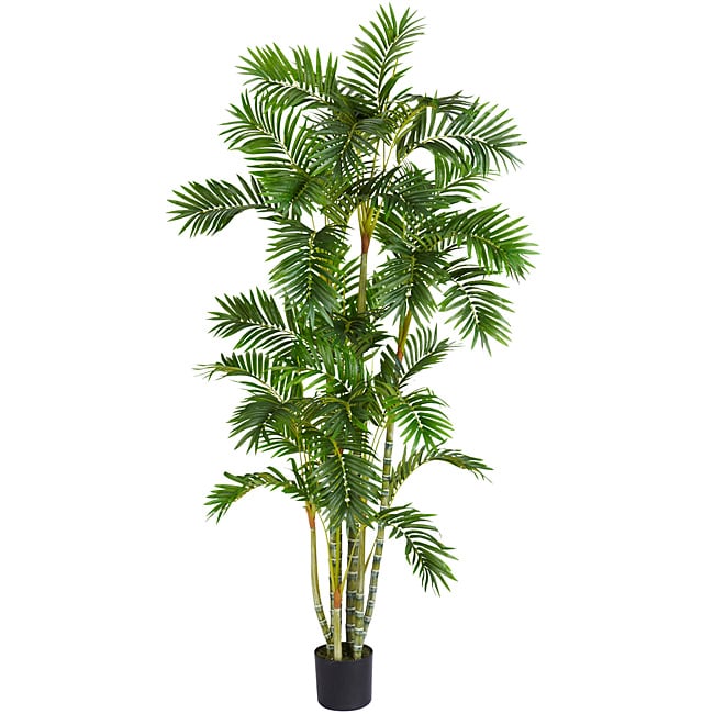 Areca 6 foot Silk Tree