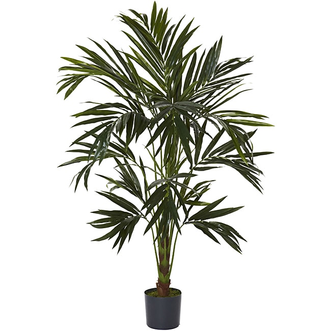 Kentia 6 foot Silk Tree