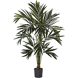 Kentia 6-foot Silk Tree