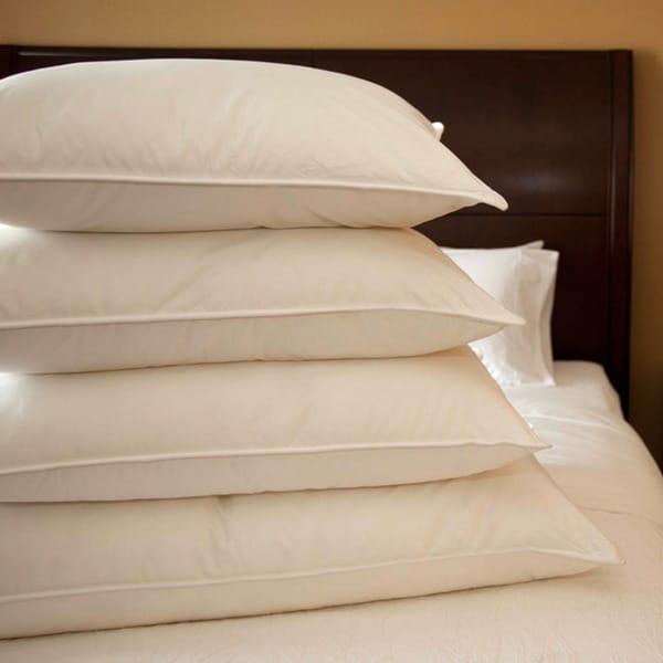 Shop Extrafirm Cambric Cotton 600 Fill Power White Goose Down Pillow