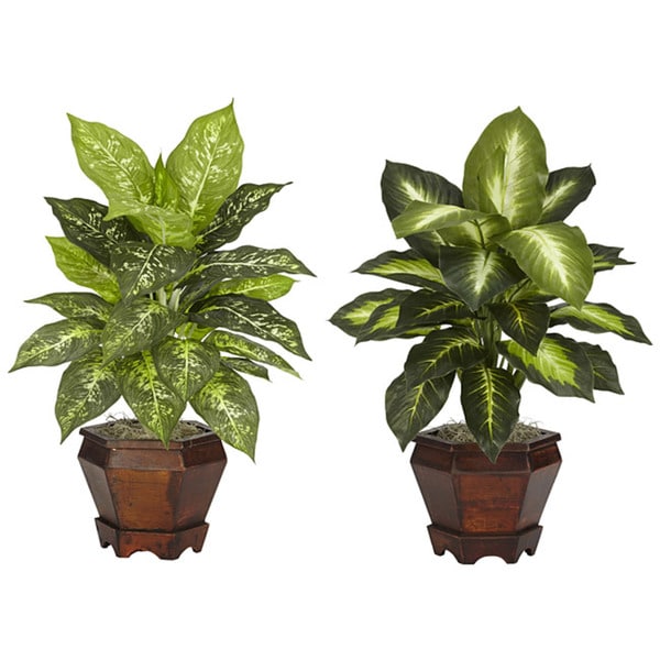 Dieffenbachia with Wood Vase Polyester Plant (Set of 2)