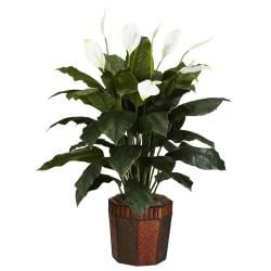 Spathyfillum with Vase Silk Plant - Green