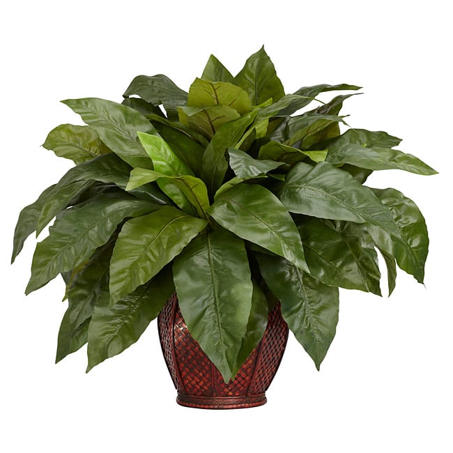 Birdsnest Fern with Decorative Vase Silk Plant