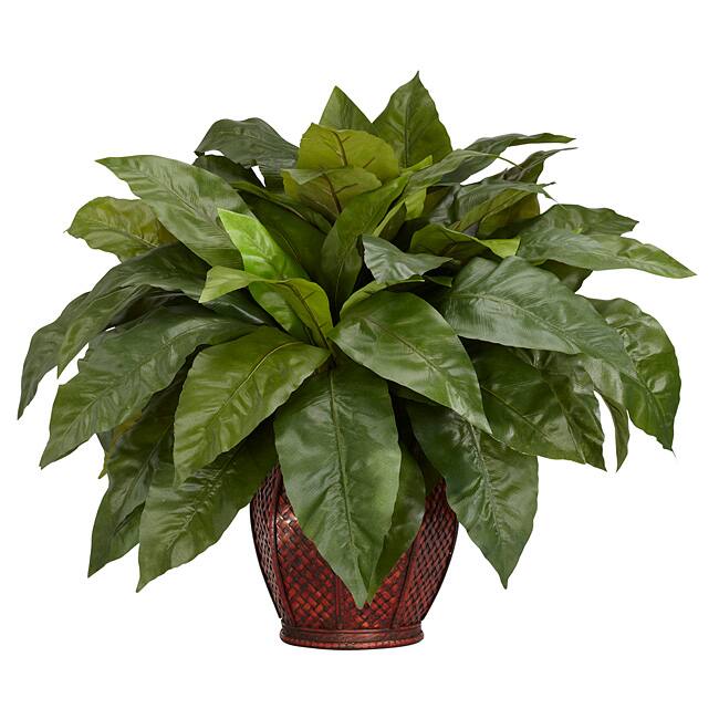 Birdsnest Fern with Decorative Vase Silk Plant