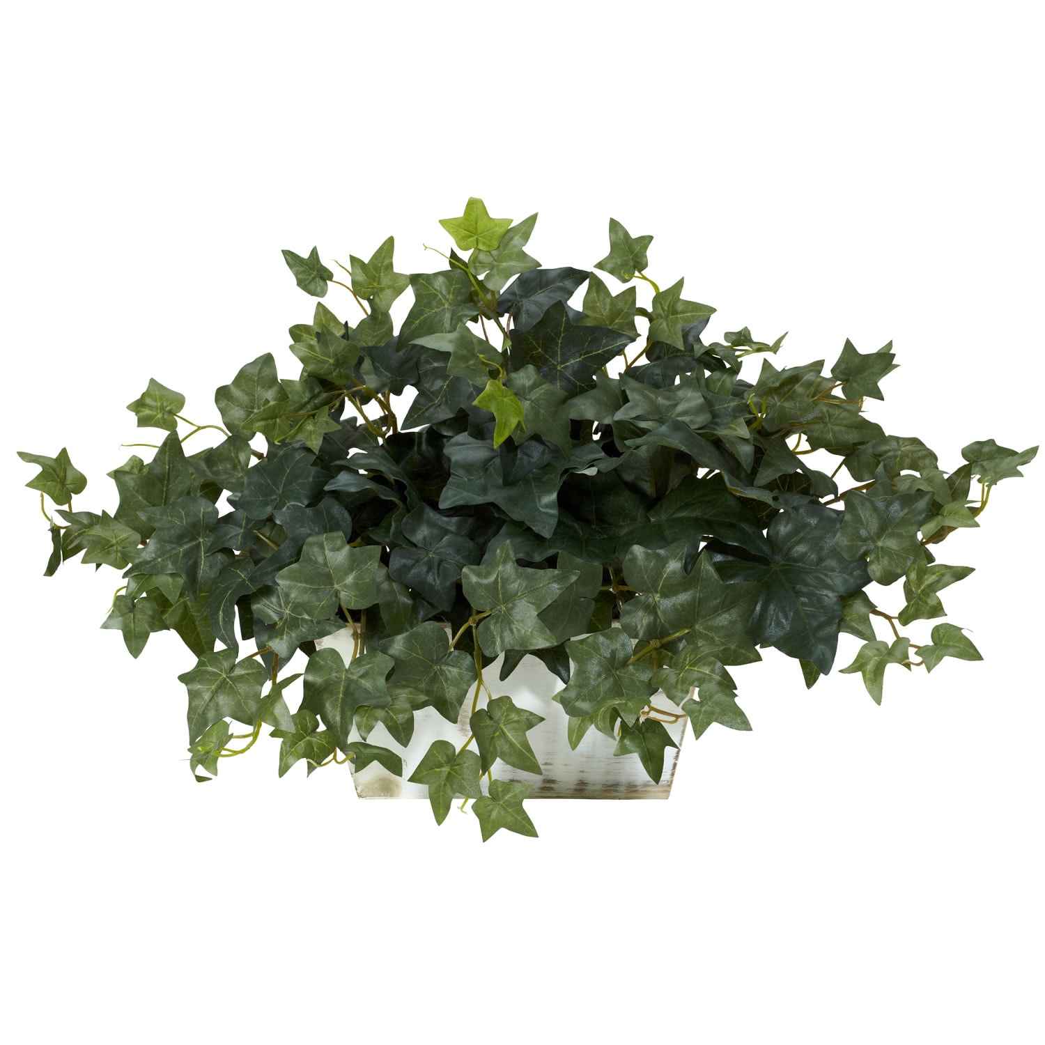 Ivy With White Wash Planter Silk Plant