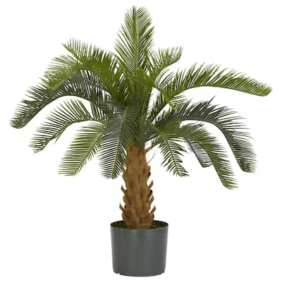 Cycas Palm Silk Plant - Green
