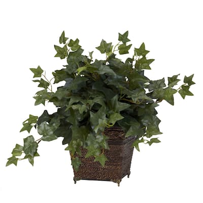Puff Ivy with Coiled Rope Planter Silk Plant